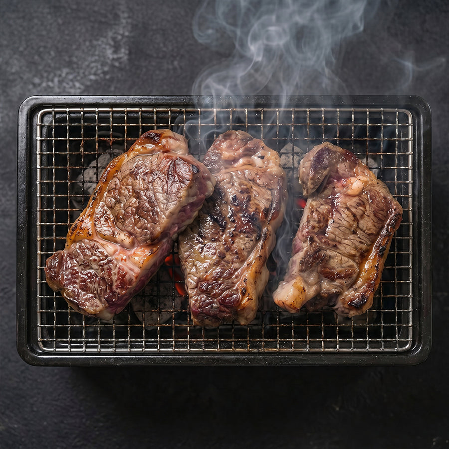 Toyaki BBQ Grill