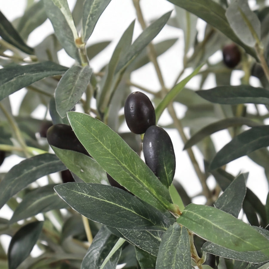 Artificial Faux Large Olive Tree (270cm)