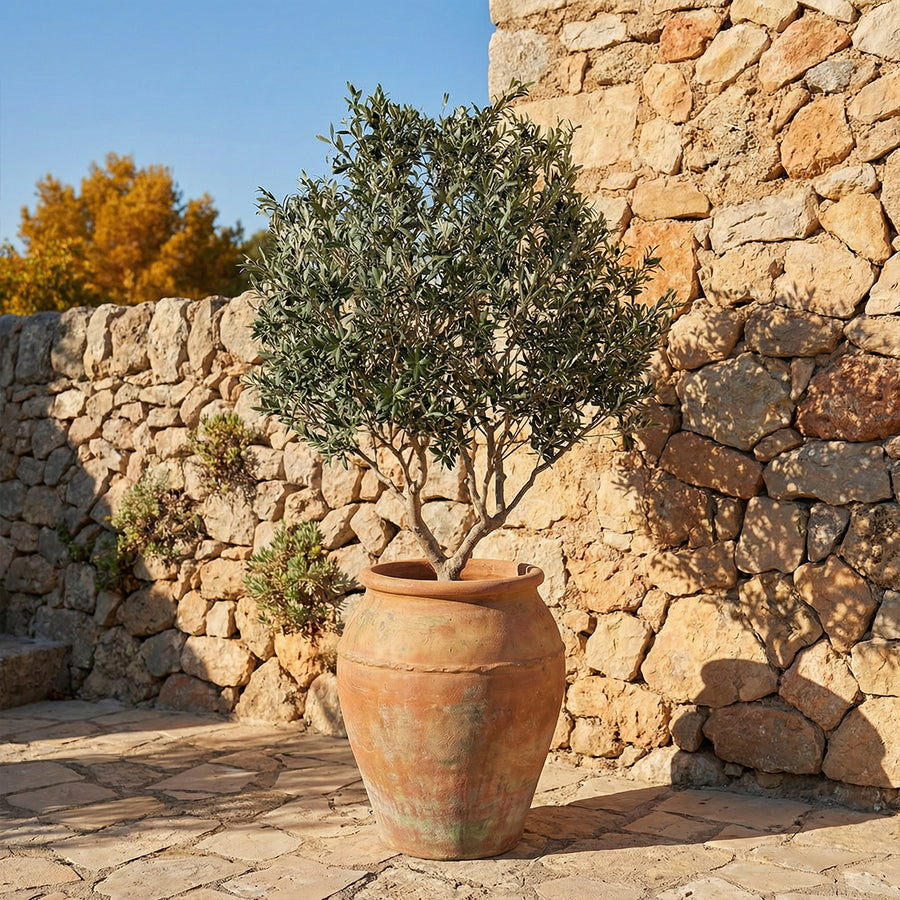 Artificial Faux Large UV Resistant Olive Tree (250cm)