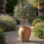 Artificial Faux Large UV Resistant Olive Tree (250cm)
