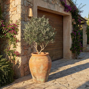 Artificial Faux Large UV Resistant Olive Tree (250cm)