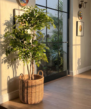 Artificial Faux Ficus Tree (160CM)