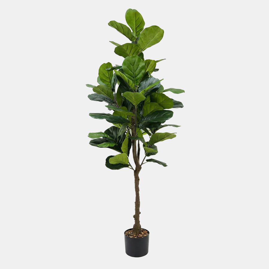 Artificial Faux Fiddle Leaf Tree (180CM)