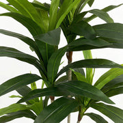 Artificial Faux Dracaena Plant (130CM)