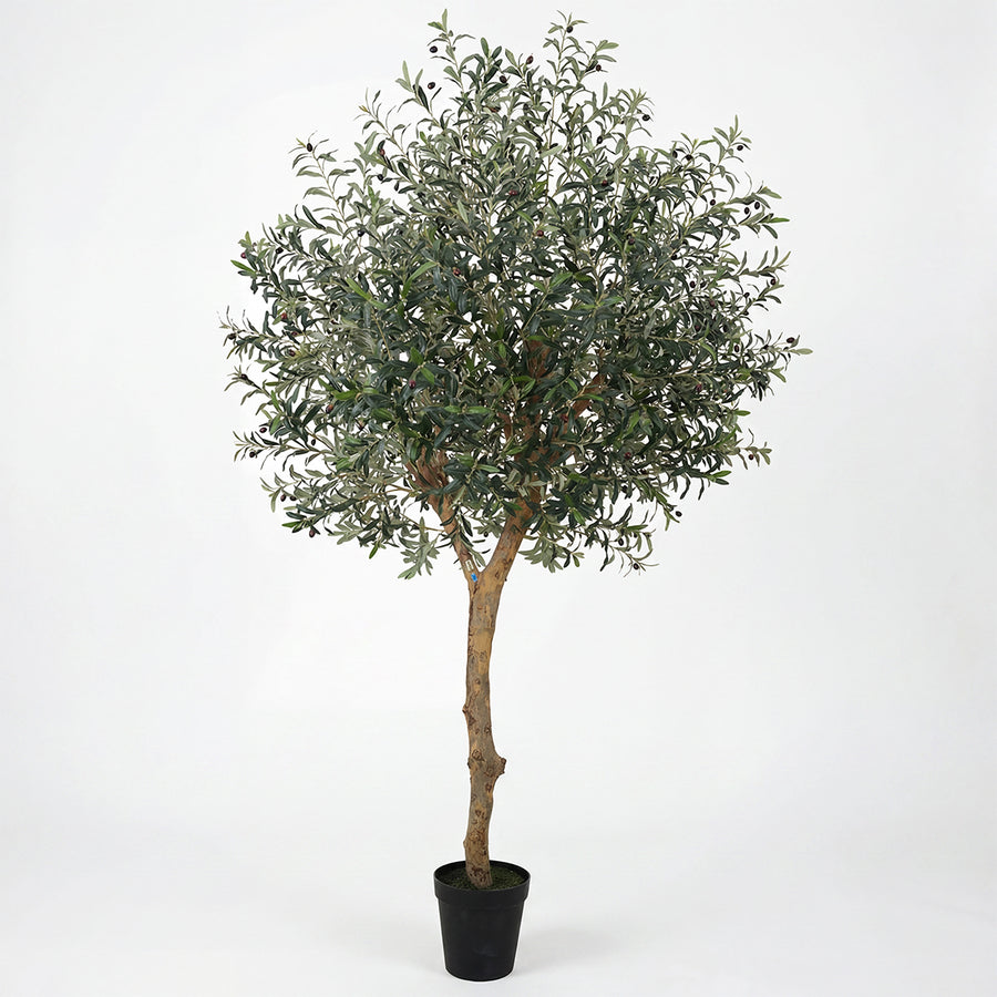 Artificial Faux Large Olive Tree (270cm)