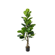 Artificial Faux Fiddle Leaf Tree (150CM)