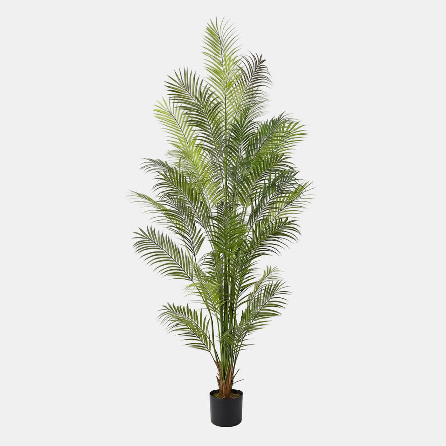 Artificial Faux Palm Tree (180CM)