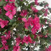 Artificial Faux Bougainvillea Tree (220cm)