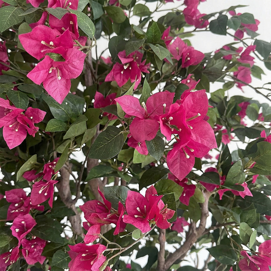 Artificial Faux Bougainvillea Tree (220cm)