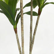 Artificial Faux Dracaena Plant (130CM)