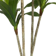 Artificial Faux Dracaena Plant (130CM)