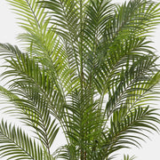 Artificial Faux Palm Tree (180CM)