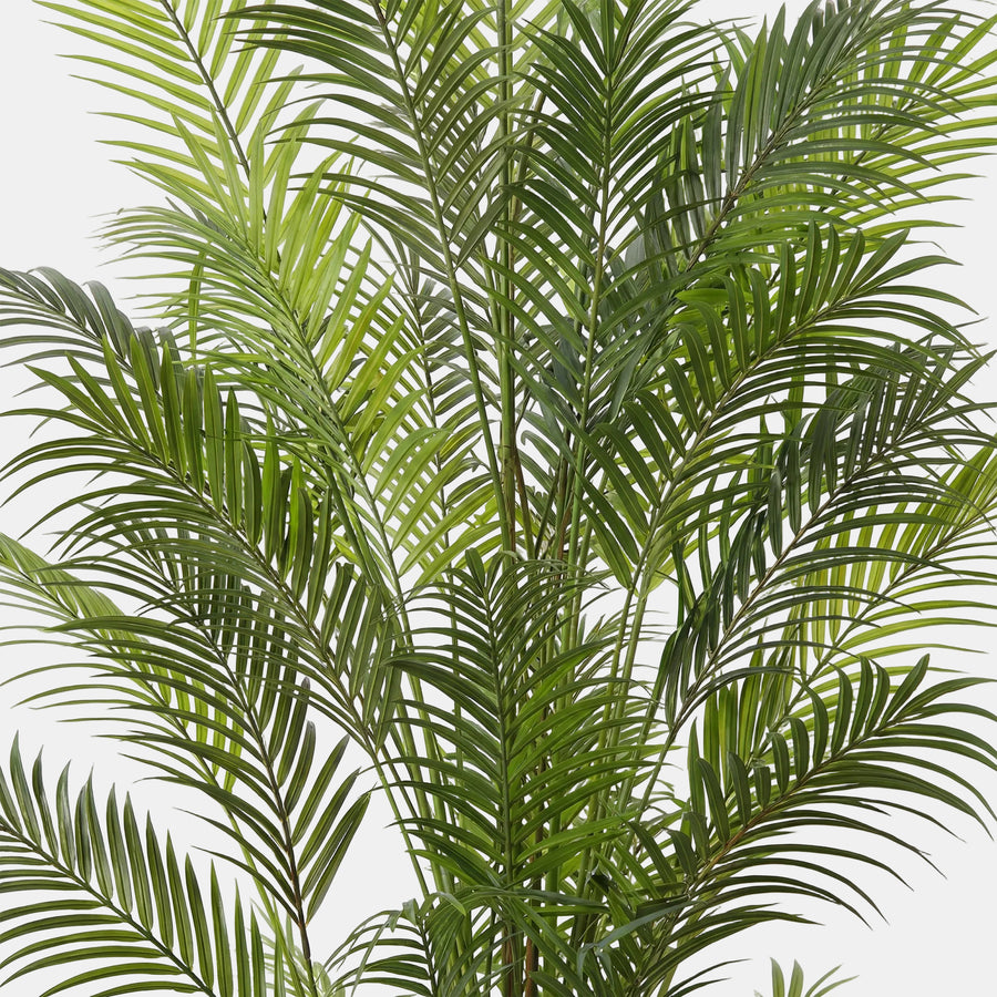 Artificial Faux Palm Tree (180CM)
