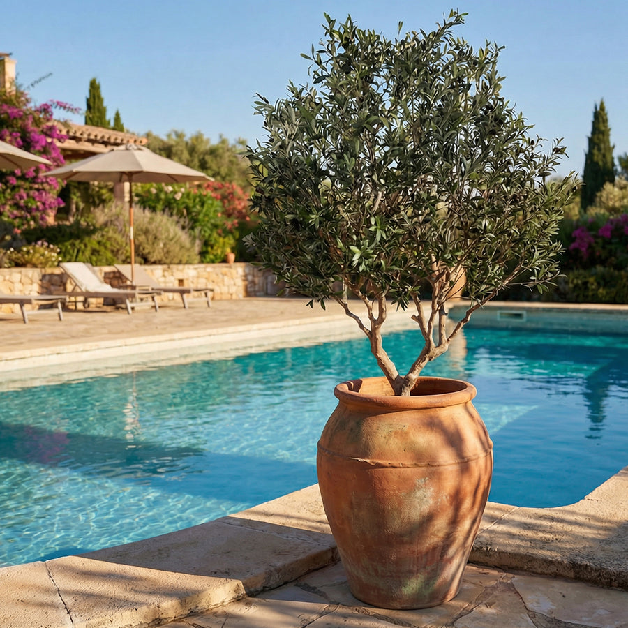 Artificial Faux Large UV Resistant Olive Tree (250cm)