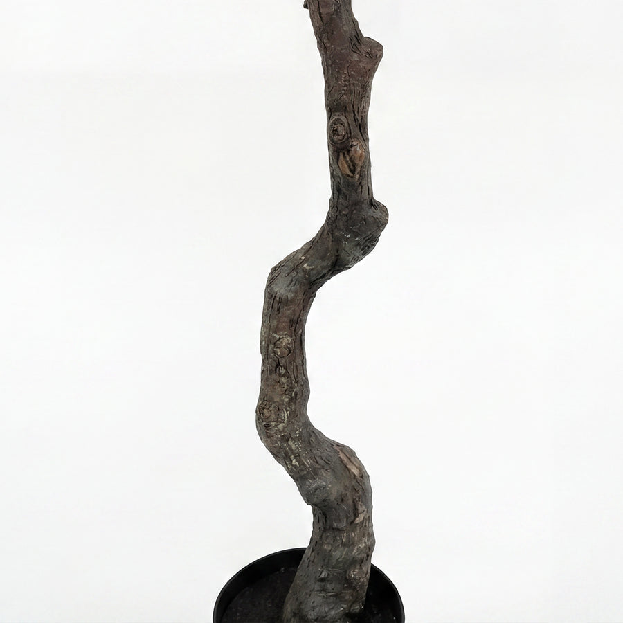 Artificial Faux Large UV Resistant Olive Tree (240cm)