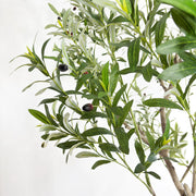 Artificial Faux Olive Tree with Pot (250CM)