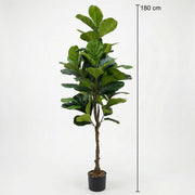 Artificial Faux Fiddle Leaf Tree (180CM)