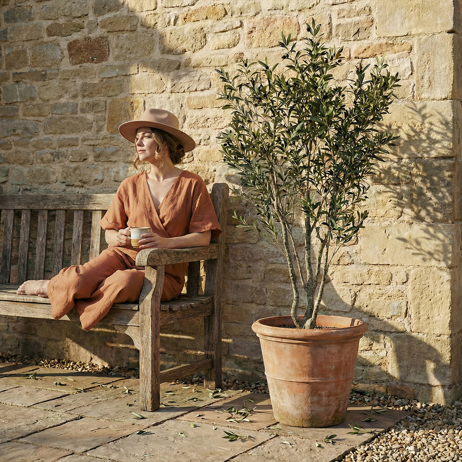 Artificial Faux Olive Tree (230CM)