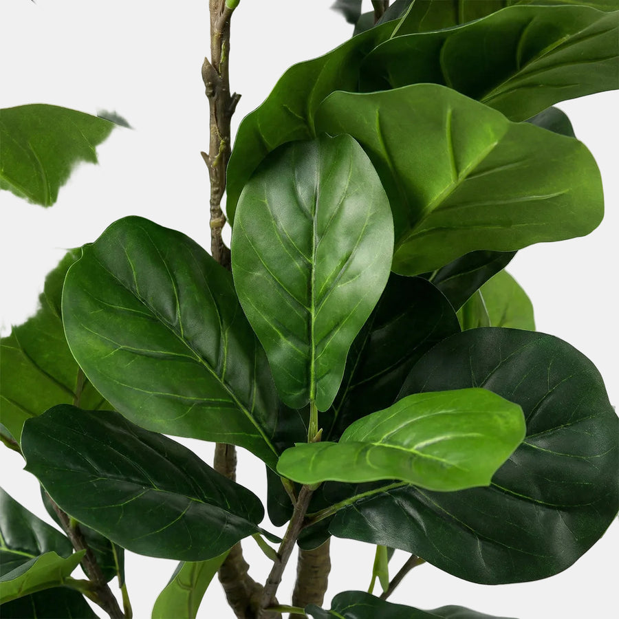 Artificial Faux Fiddle Leaf Tree (150CM)