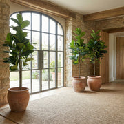 Artificial Faux Fiddle Leaf Tree (180CM)