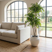 Artificial Faux Ficus Tree (160CM)