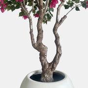 Artificial Faux Bougainvillea Tree (220cm)