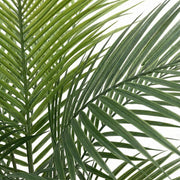 Artificial Faux Palm Tree (75CM)