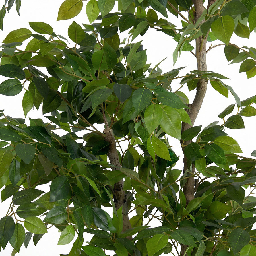 Artificial Faux Ficus Tree (160CM)