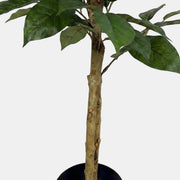 Artificial Faux UV Resistant Coffee Tree (150cm)