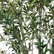 Artificial Faux Olive Tree (230CM)