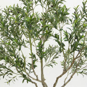 Artificial Faux Olive Tree with Pot (250CM)