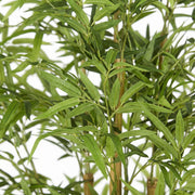 Artificial Faux Bamboo Tree (210CM)