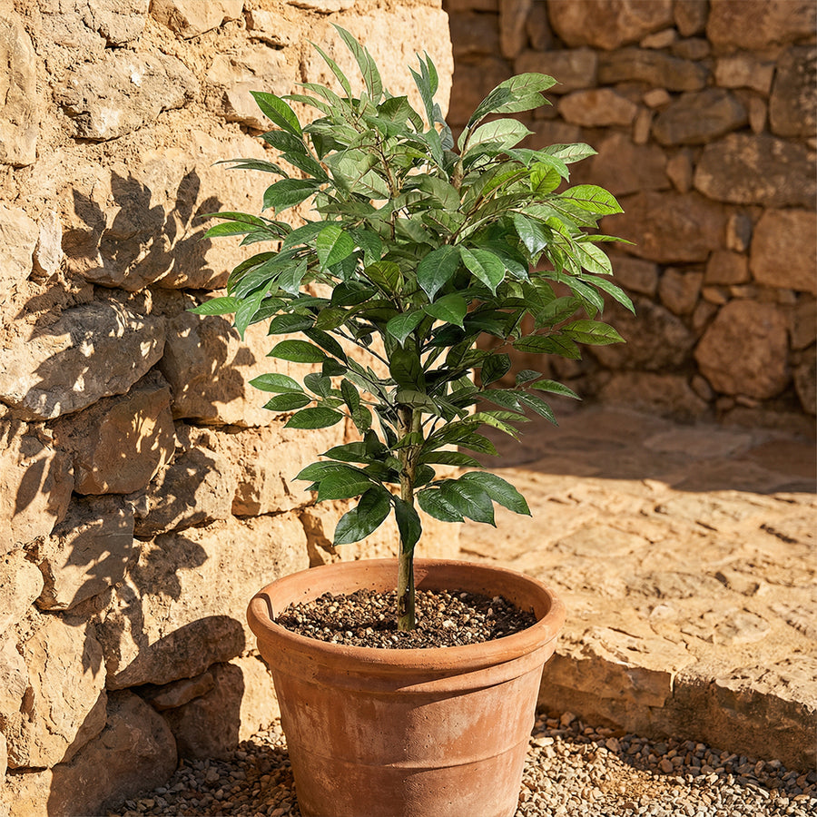 Artificial Faux UV Resistant Coffee Tree (150cm)