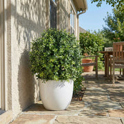 Artificial Faux Boxwood Topiary Ball (60cm)