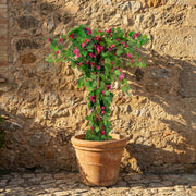 Artificial Faux UV Resistant Bougainvillea Plant (150cm)