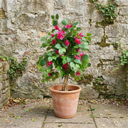 Artificial Faux UV Resistant Bougainvillea Plant (90cm)