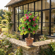 Artificial Faux UV Resistant Bougainvillea Plant (90cm)