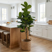 Artificial Faux Fiddle Leaf Tree (180CM)