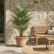 Artificial Faux Palm Tree (180CM)
