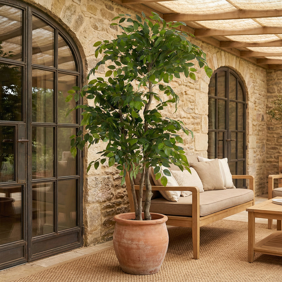 Artificial Faux Ficus Tree (160CM)