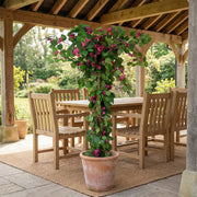 Artificial Faux UV Resistant Bougainvillea Plant (150cm)