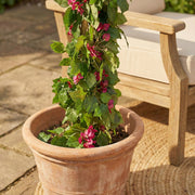 Artificial Faux UV Resistant Bougainvillea Plant (150cm)