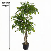 Artificial Faux Ficus Tree (160CM)
