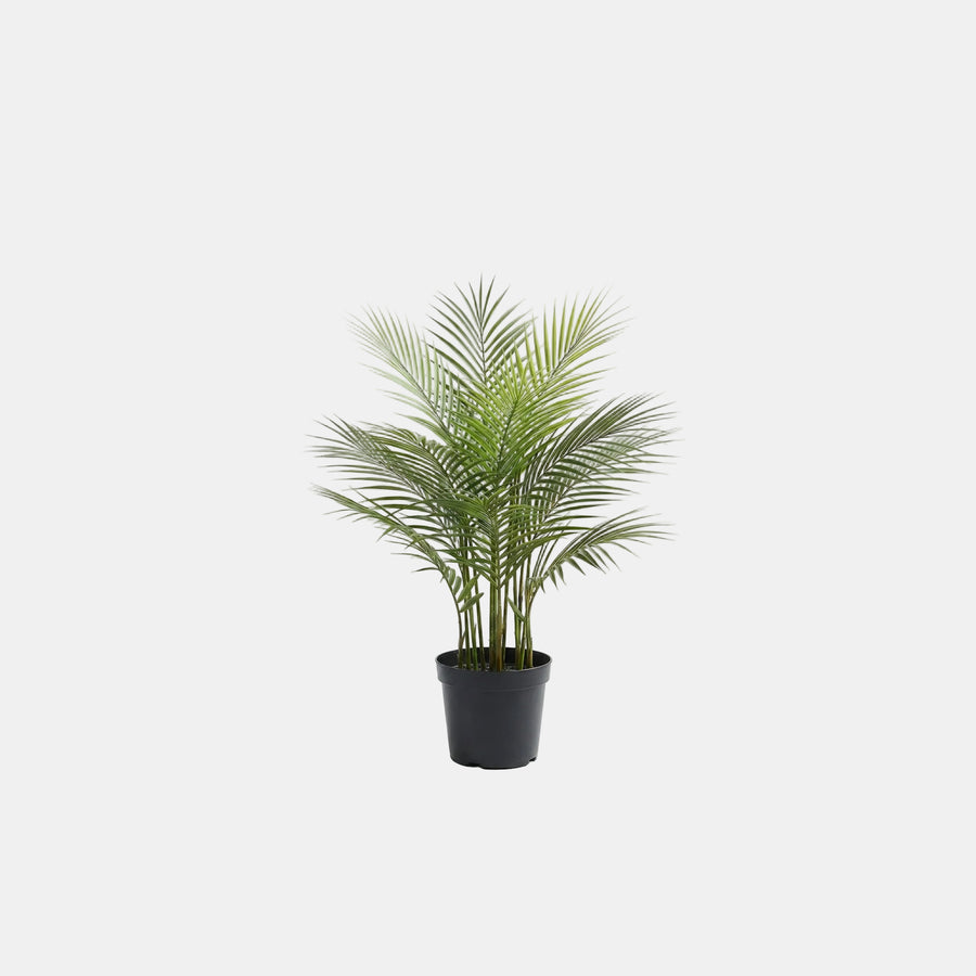 Artificial Faux Palm Tree (75CM)