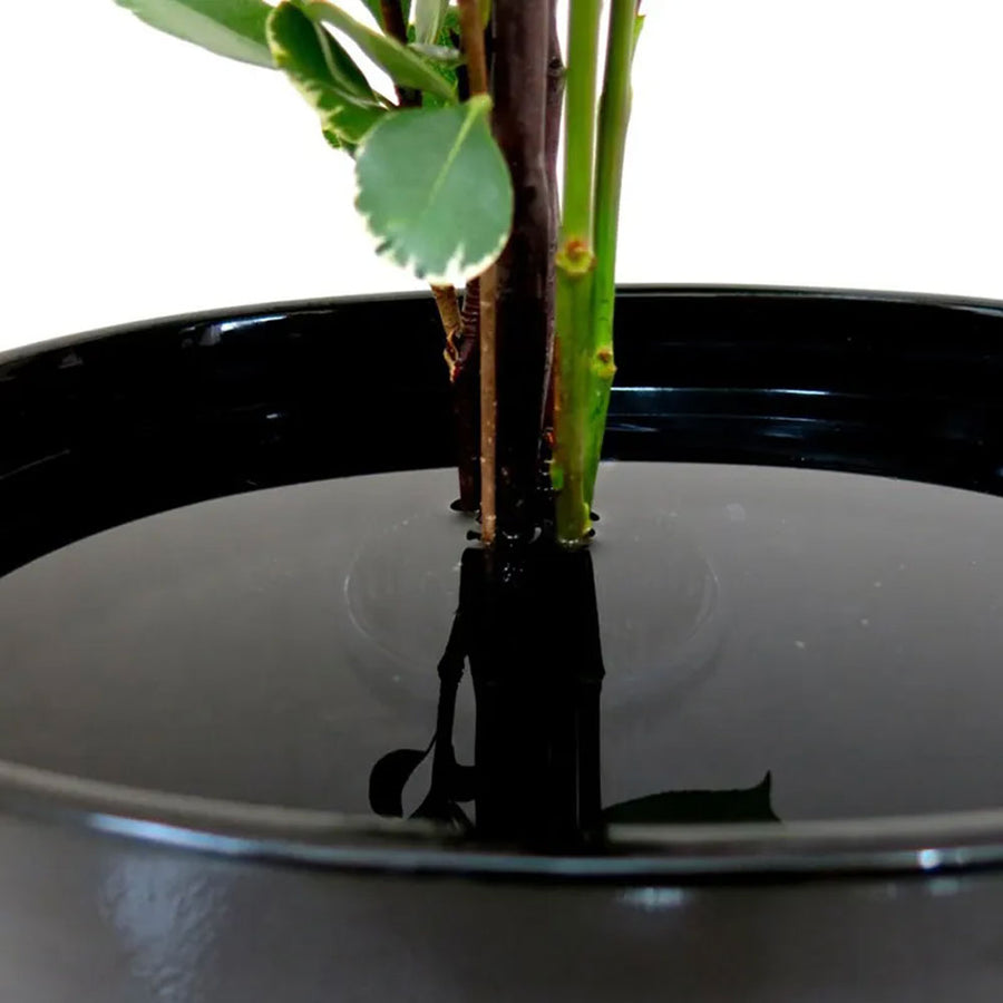 NEEDLE BLOOM FLOWER HOLDER