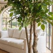 Artificial Faux Ficus Tree (160CM)