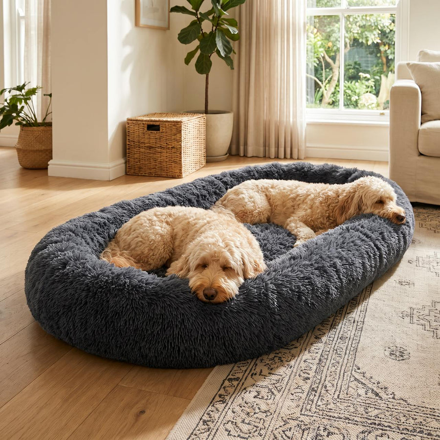 WuFF Giant Pet Bed with two goldendoodles lying in it together with room to spare