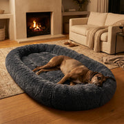 WuFF Giant Pet Bed in front of a fireplace in a warm South African lounge with a dog asleep in it