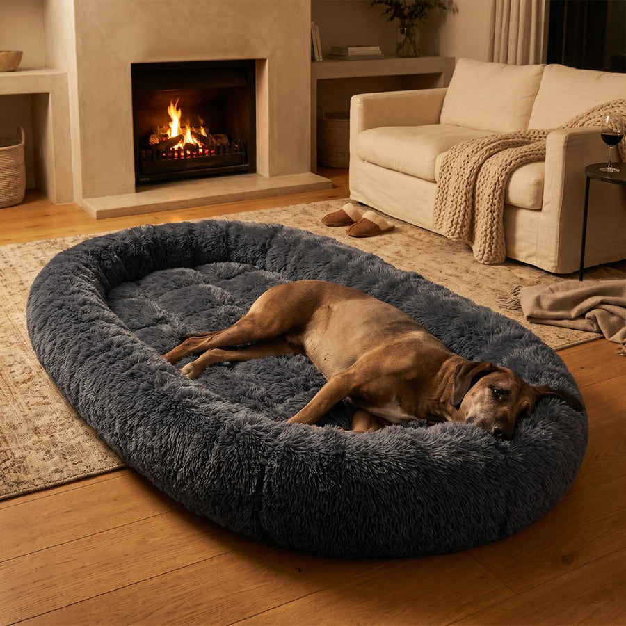 WuFF Giant Pet Bed in front of a fireplace in a warm South African lounge with a dog asleep in it