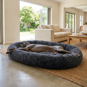 WuFF Giant Pet Bed with a Great Dane stretched out full length inside it